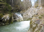 Prés de la route