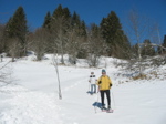 Descente
