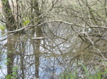 Lac St André