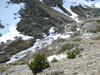 Retour au torrent