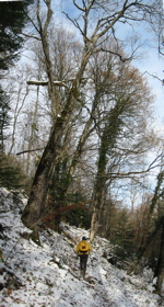 Sentier au dessous de la Dent du Chat