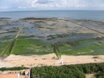 Phare de la baleine
