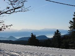 IMG_0201.JPG