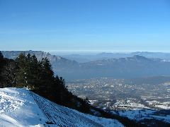 IMG_0230.JPG