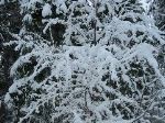 IMG_0251.JPG